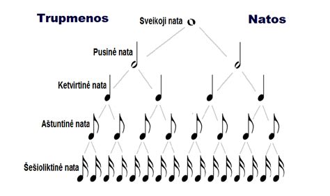 Muzikos teorijos elementai ir natos