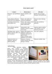 pedagogas pildo vaiko pasiekimų aplanką