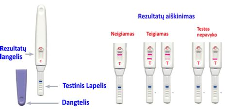 Nėštumo testų pavyzdžiai