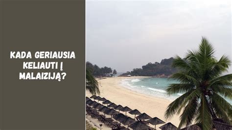 Maldyvų klimato ir sezonų lentelė