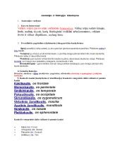 Mowgli vaikų fiziologijos ir elgesio ypatumų schema