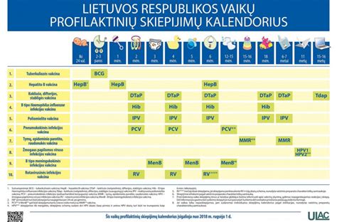 infekcinių ligų schema