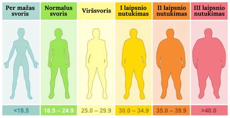 Infografika: Kūno masės indeksas (KMI) ir jo reikšmė vaisingumui