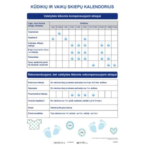 Vaikų išmokų schemos pavyzdys