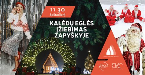 Šiuolaikinė Eglės Jurgaitytės veikla