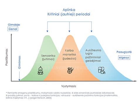 Vaiko raidos centro schema