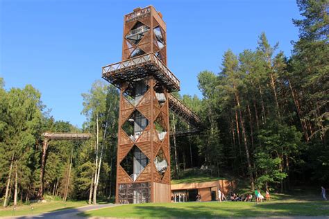 Lipno medžių lajų takas rudenį