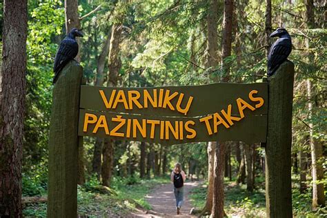 Lopaičių pažintinio tako vaizdai