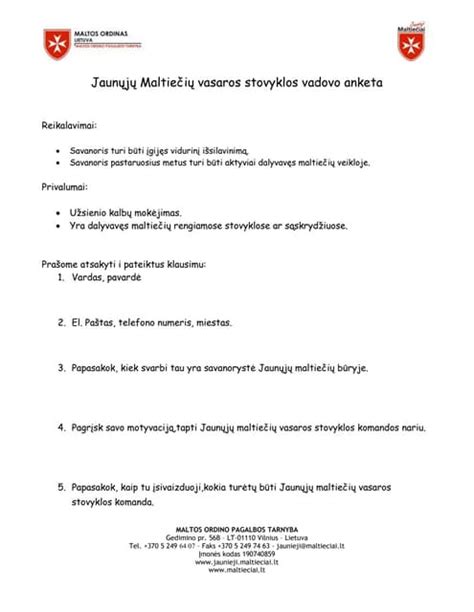 Stovyklos vadovo atestato pavyzdys