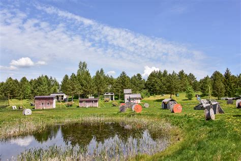 Dažasvydžio aikštelė miške