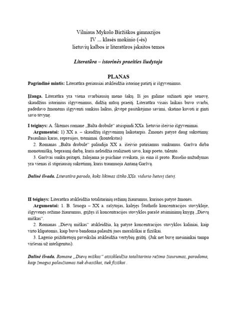 Individualizuoto gydymo plano pavyzdys