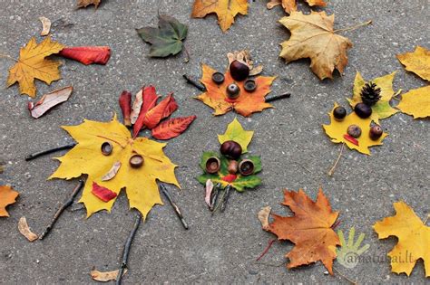 rudens darbeliai iš gamtinių medžiagų