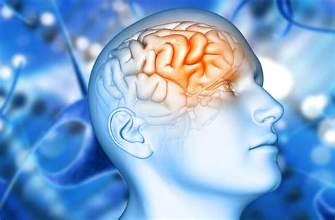 Galvos smegenų neuronų veikla ir elektriniai impulsai