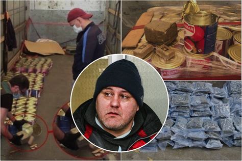 Sigito Gaidjurgio vilos schema