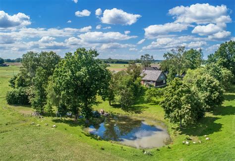 Pivašiūnų kaimo vaizdas, Giedriaus Leškevičiaus gimtinė