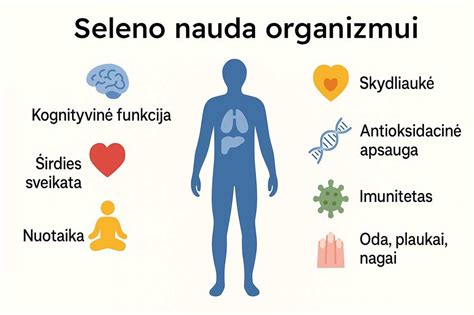 Seleno naudos infografika