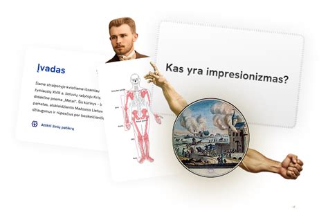 Kaulų funkcijų iliustracija