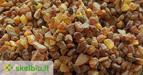 Gintaro gabalėliai, rasti pajūryje