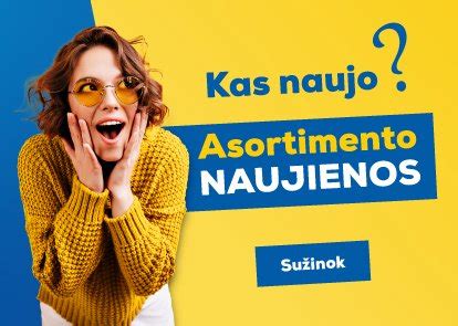 Internetinės parduotuvės asortimento apžvalga