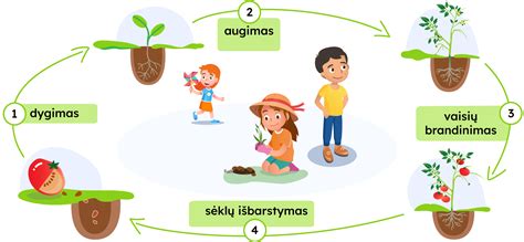 Galvos utėlių gyvenimo ciklas ir požymiai