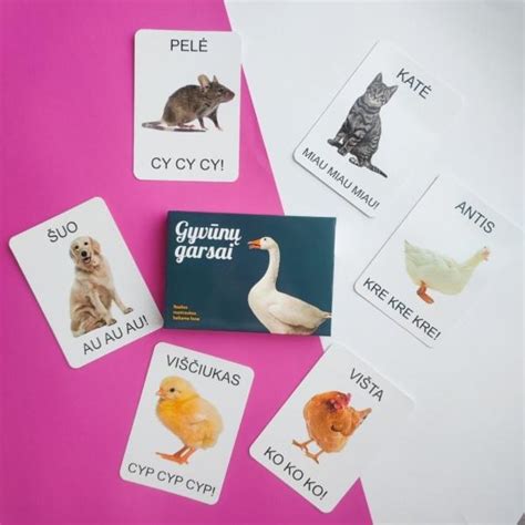 Pavyzdys kortelių su gyvūnų pavadinimais anglų kalba