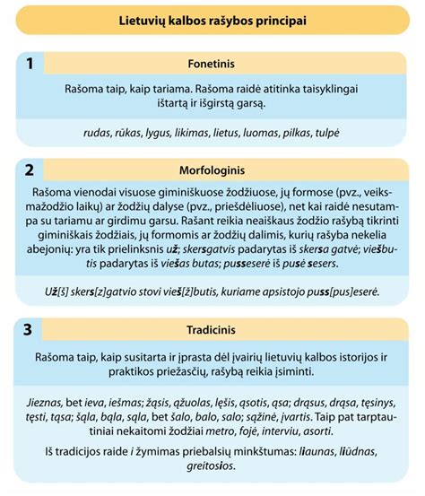 knygos turinio schema