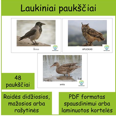 Edukacinės paukščių kortelės vaikams