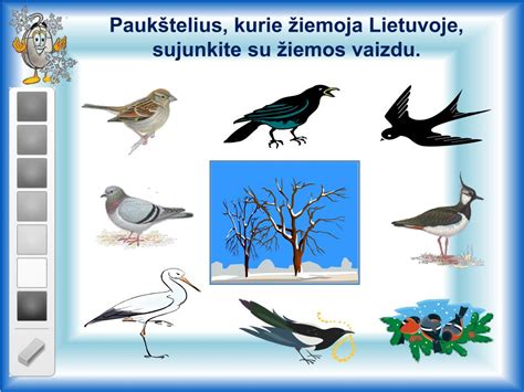 Lietuvos žiemojantys paukščiai