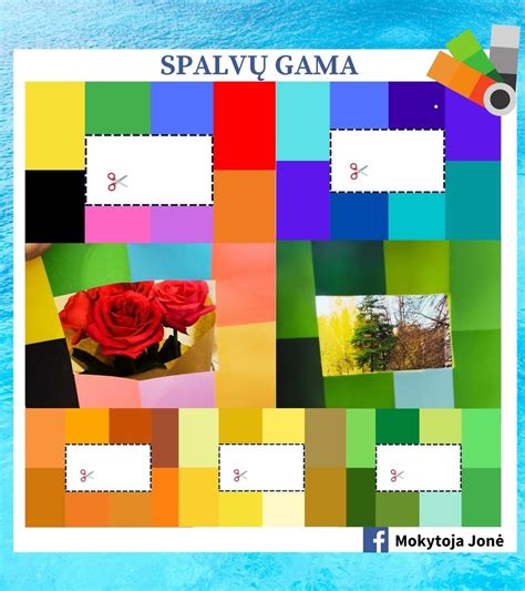 vaikiškų marškinėlių spalvų gama