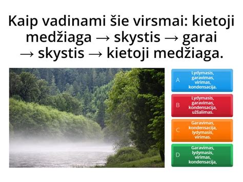 Melissa Melflex medžiagos savybės ir privalumai
