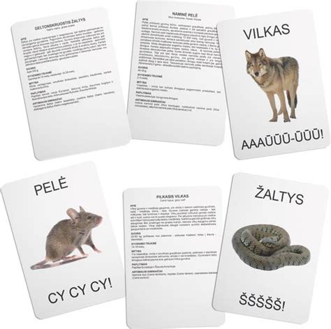 Gyvūnų garsai vaikams