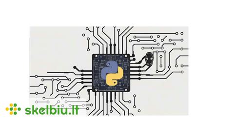 Jaunas žmogus programuojantis „Python“ kalba kompiuteriu