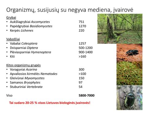 Teisminis procesas dėl išlaikymo