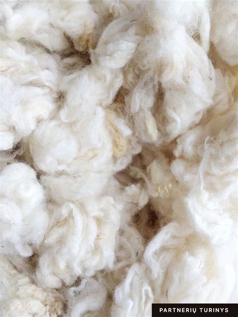 Merino vilnos pluošto struktūra ir savybės