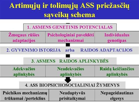Autizmo priežasčių schema (genetiniai ir neurologiniai veiksniai)