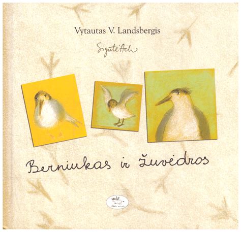 Knygos „Berniukas ir žuvėdros“ viršelis