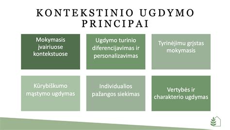 Kontekstinio ugdymo schema