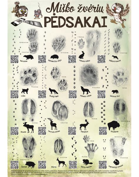 Gyvūnų pėdsakai sniege