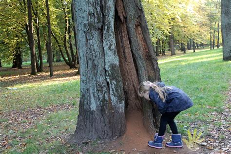 vaikai vasaros stovykloje gamtoje