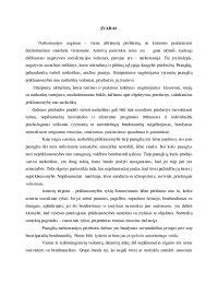paauglių priklausomybės priežastys