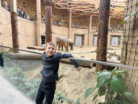Dvaras su mini zoologijos sodu