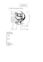 Moters dubens organų ir venų schema