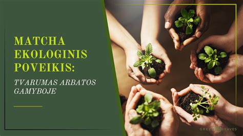 Tencel gamybos procesas ir ekologinis poveikis