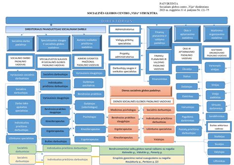 Informacinė schema apie socialinės globos finansavimą