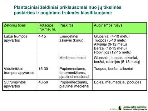 Infografika: slapukų tipai ir jų paskirtis
