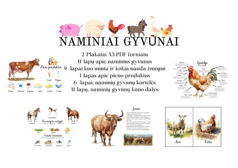 Vaizdžiai iliustruojanti skirtingus gyvūnus, minimus dainelėse