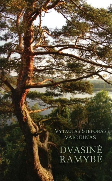 Dvasinė ramybė ir malda
