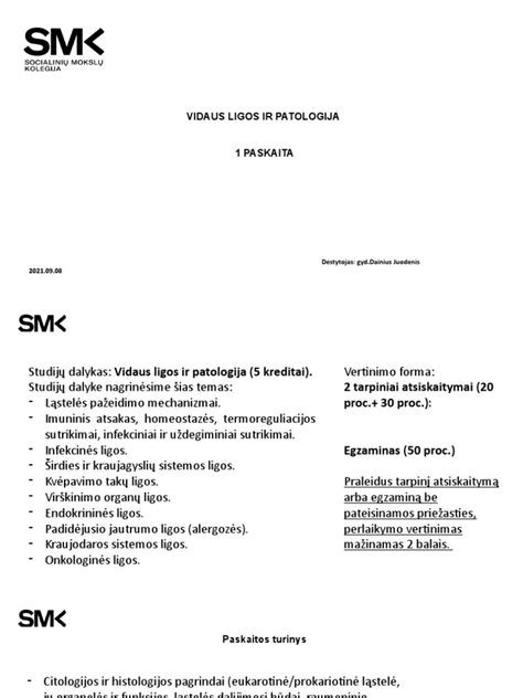 Vaizdinis pavyzdys žaidimo 