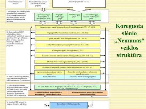 Mokytojo studijų kelio schema