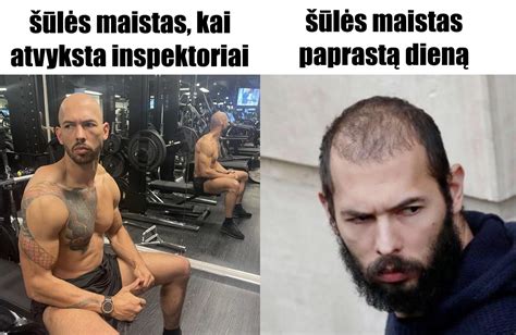 Schema su kiaušinio maistinėmis medžiagomis